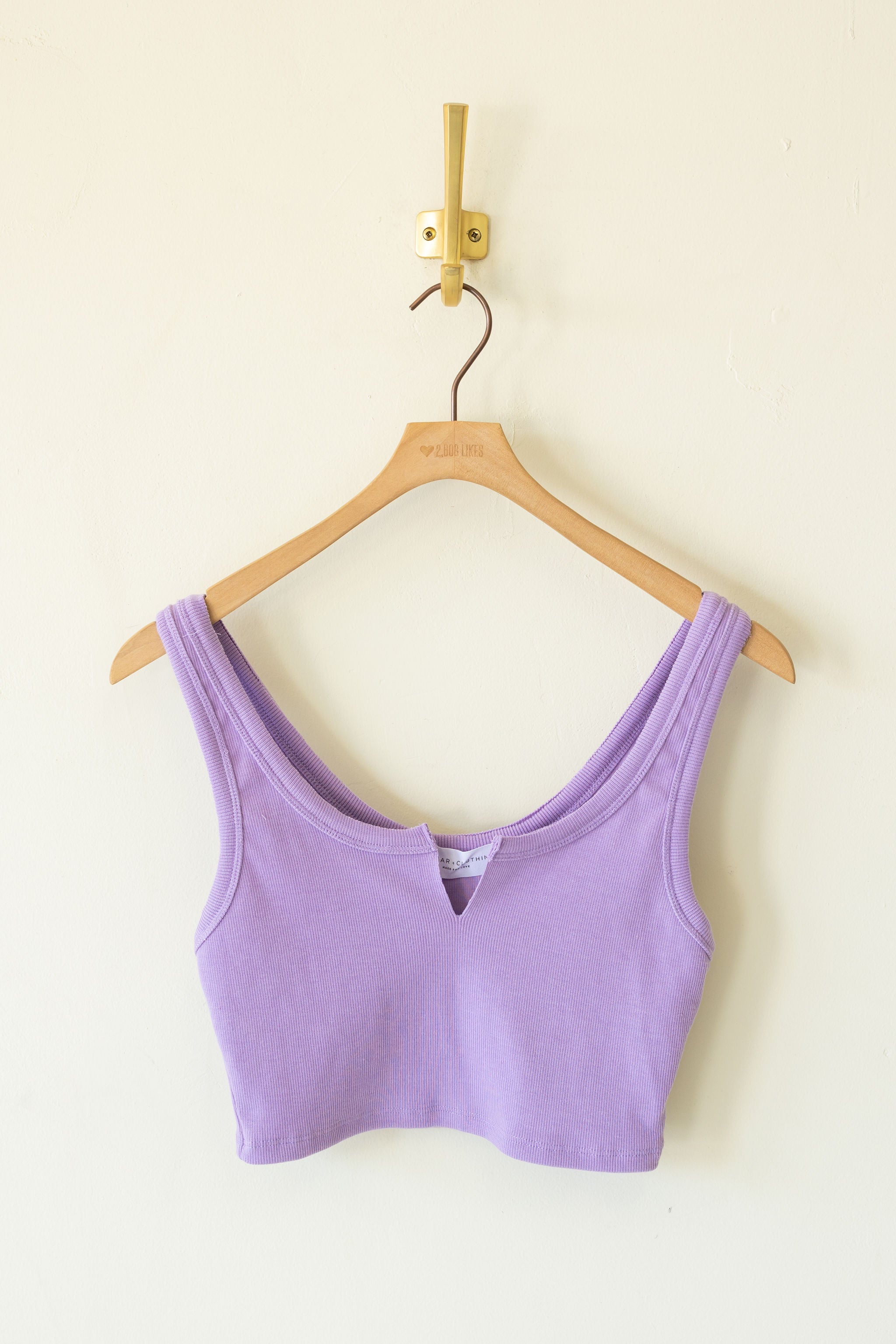 Never Again Sleeveless Crop Top