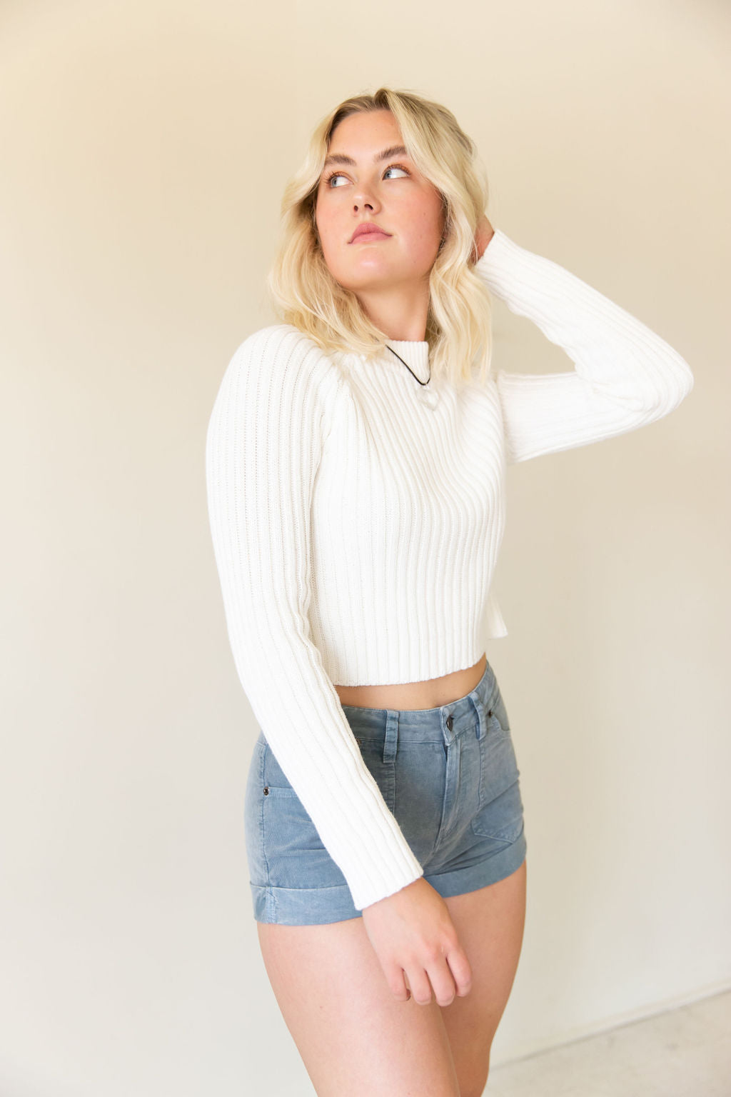 We Tried Knit Crop Sweater