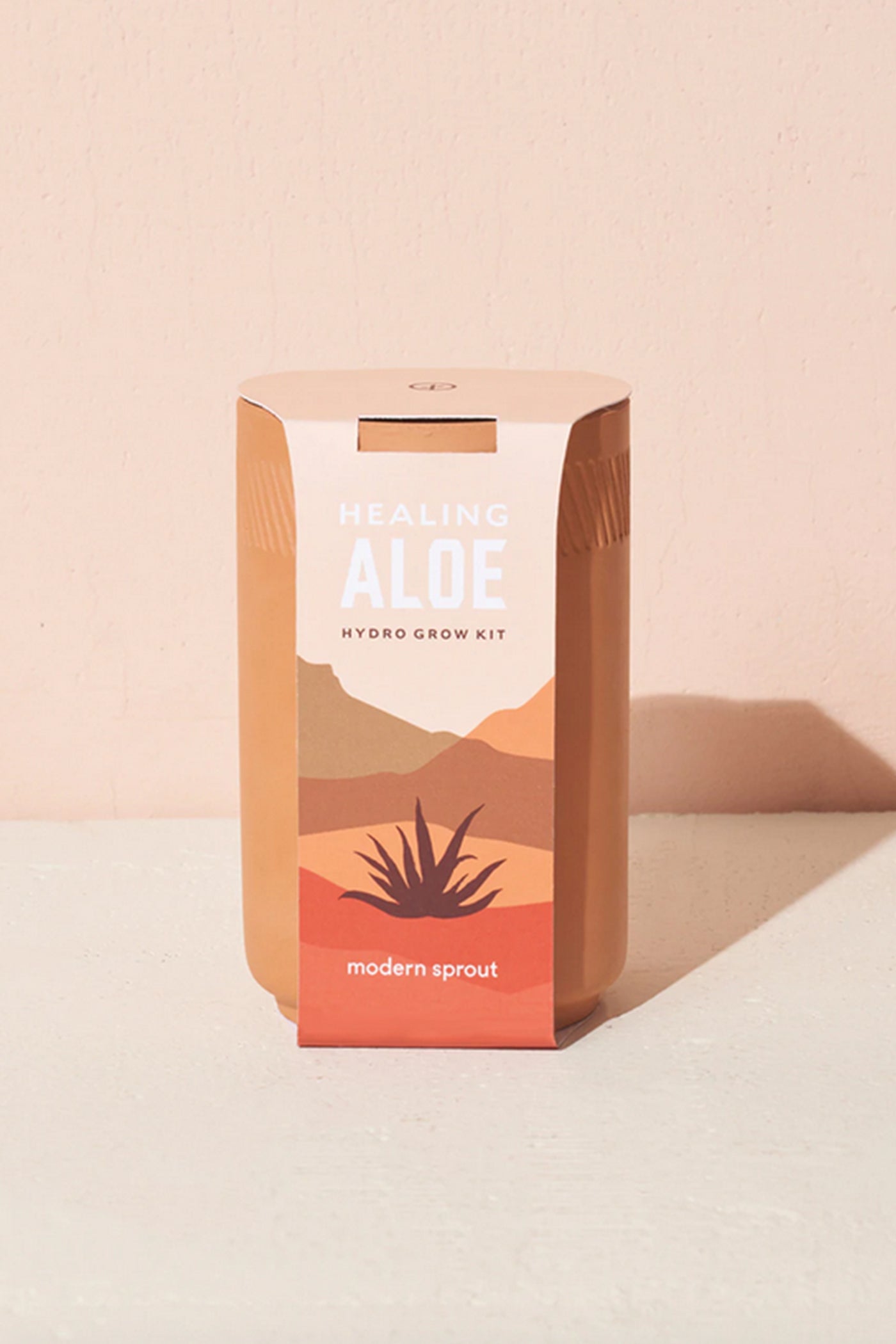 Aloe Terrcaotta Kit by Modern Sprout