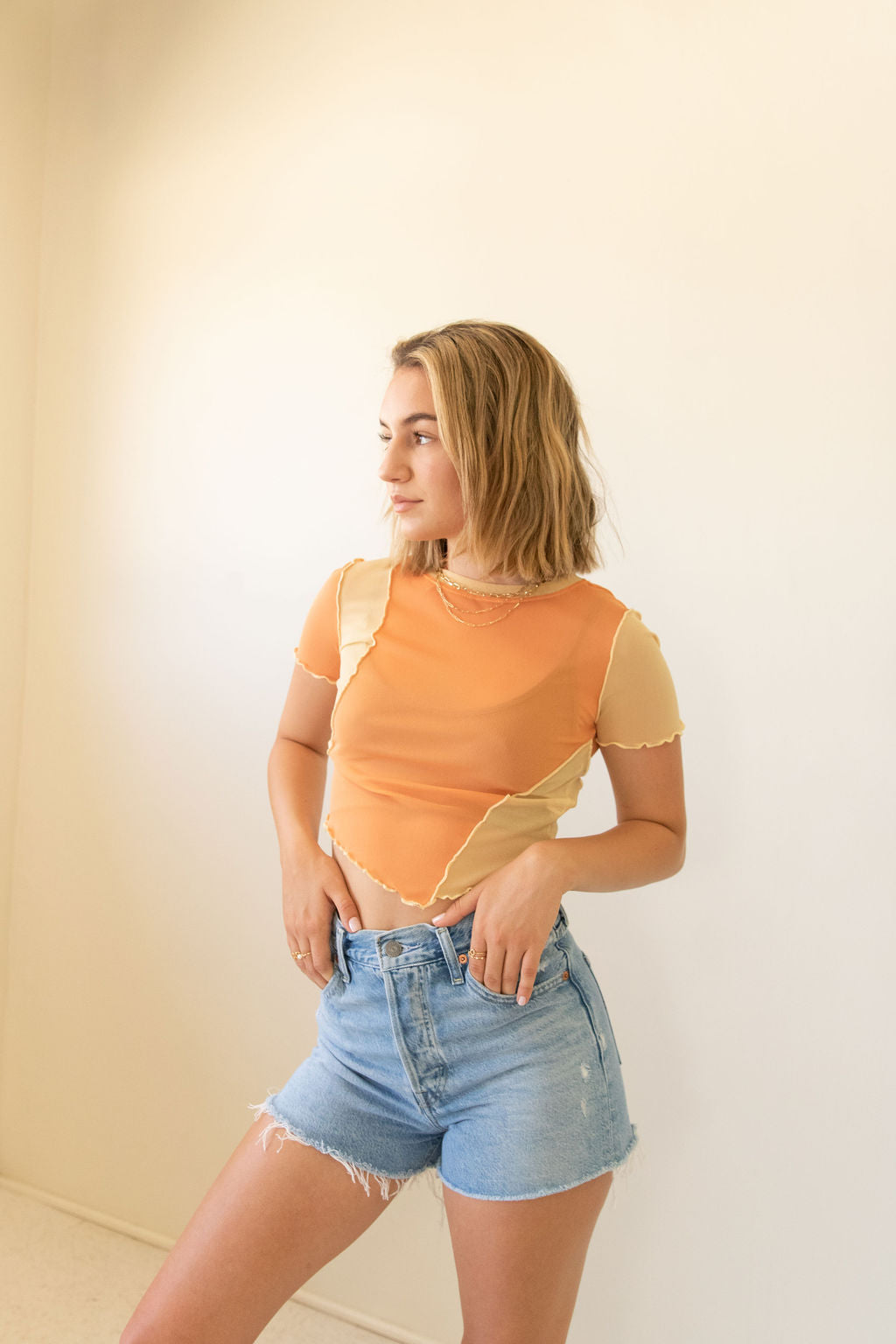 Feeling Good Sheer Crop Top
