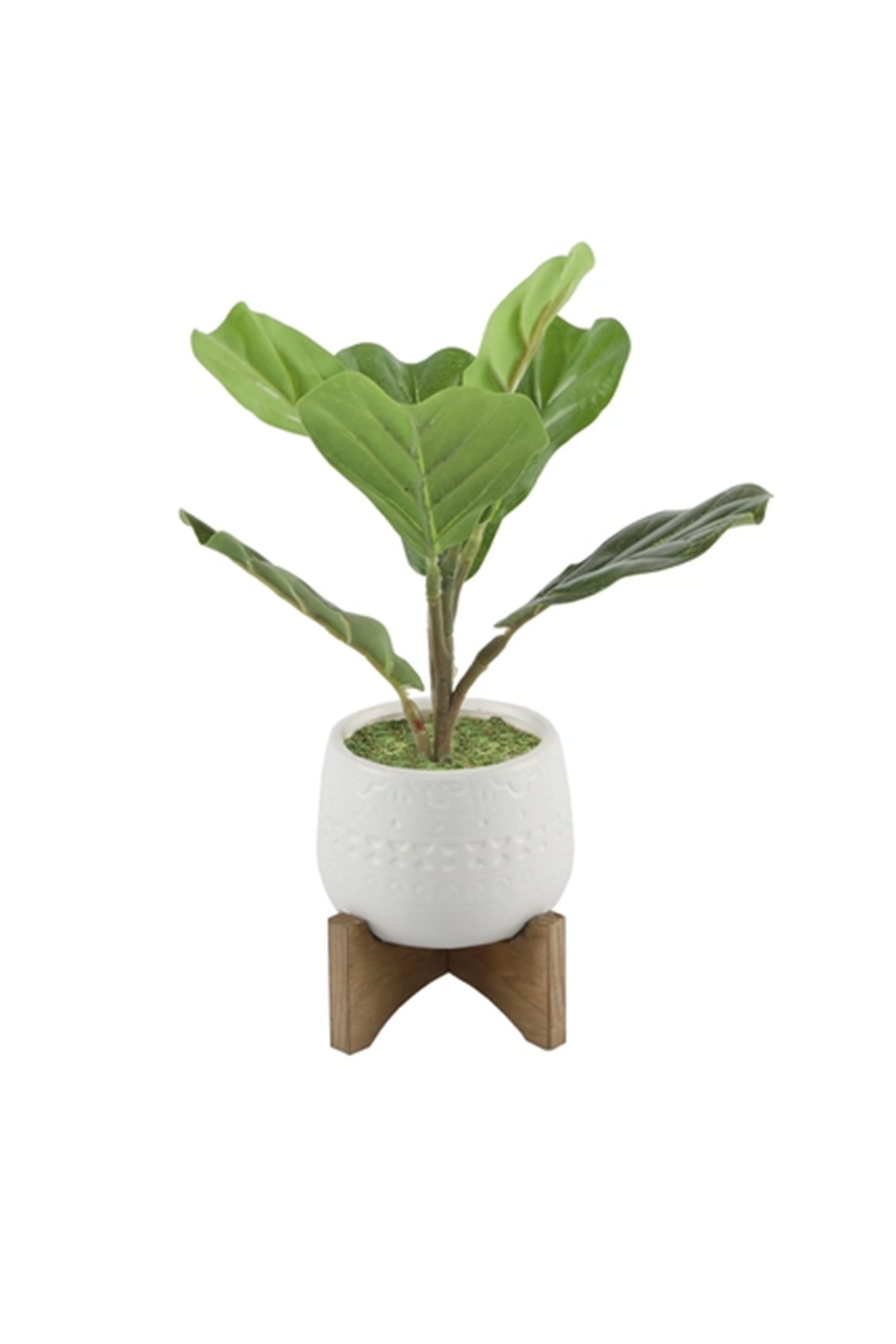 Artificial Fiddle Fig In Ceramic Pot