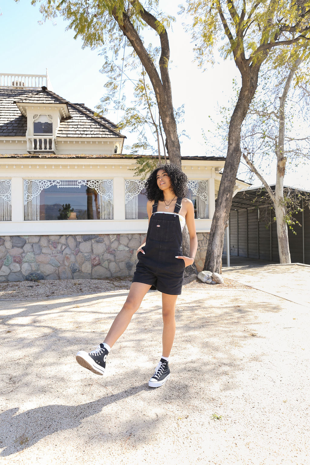 Dickies Duck Bib Shortalls