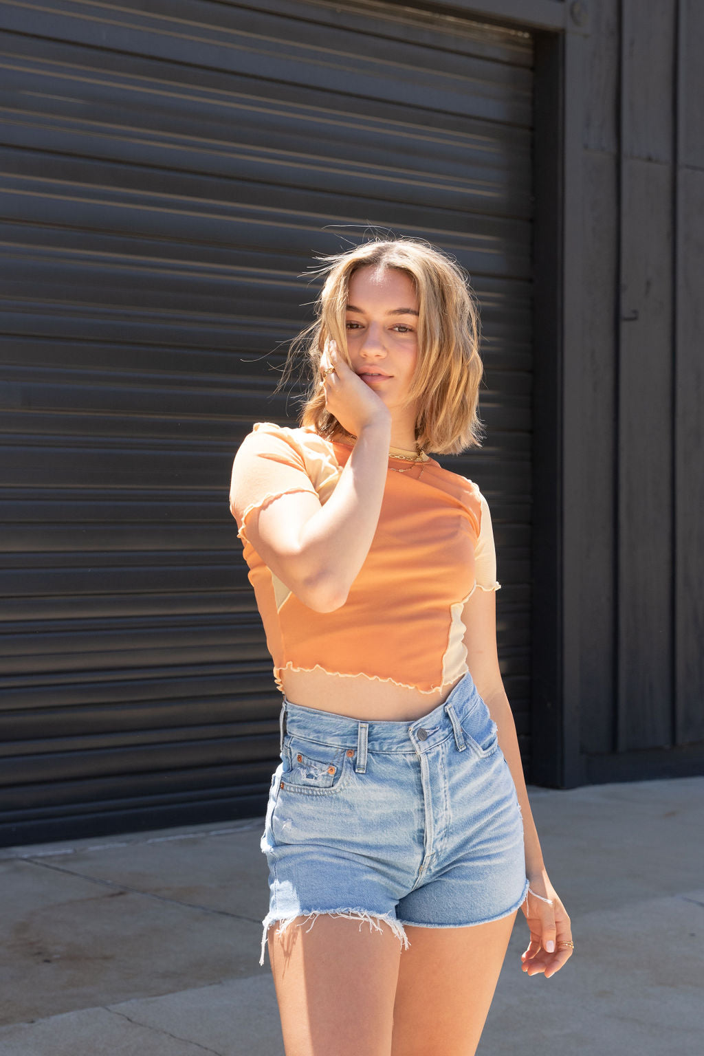 Feeling Good Sheer Crop Top