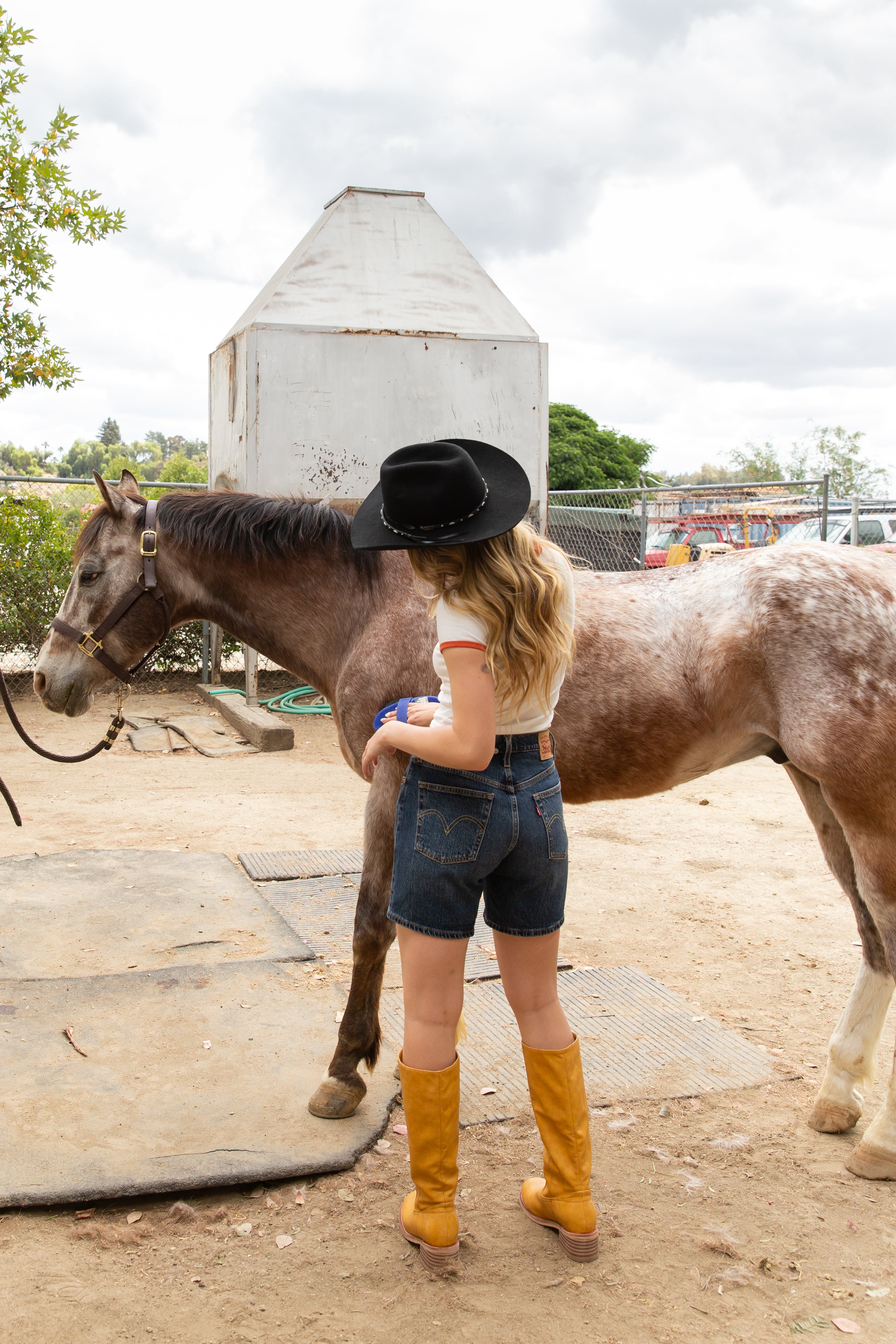 Person standing next to a horse in an outdoor setting with a building and trees in the background.