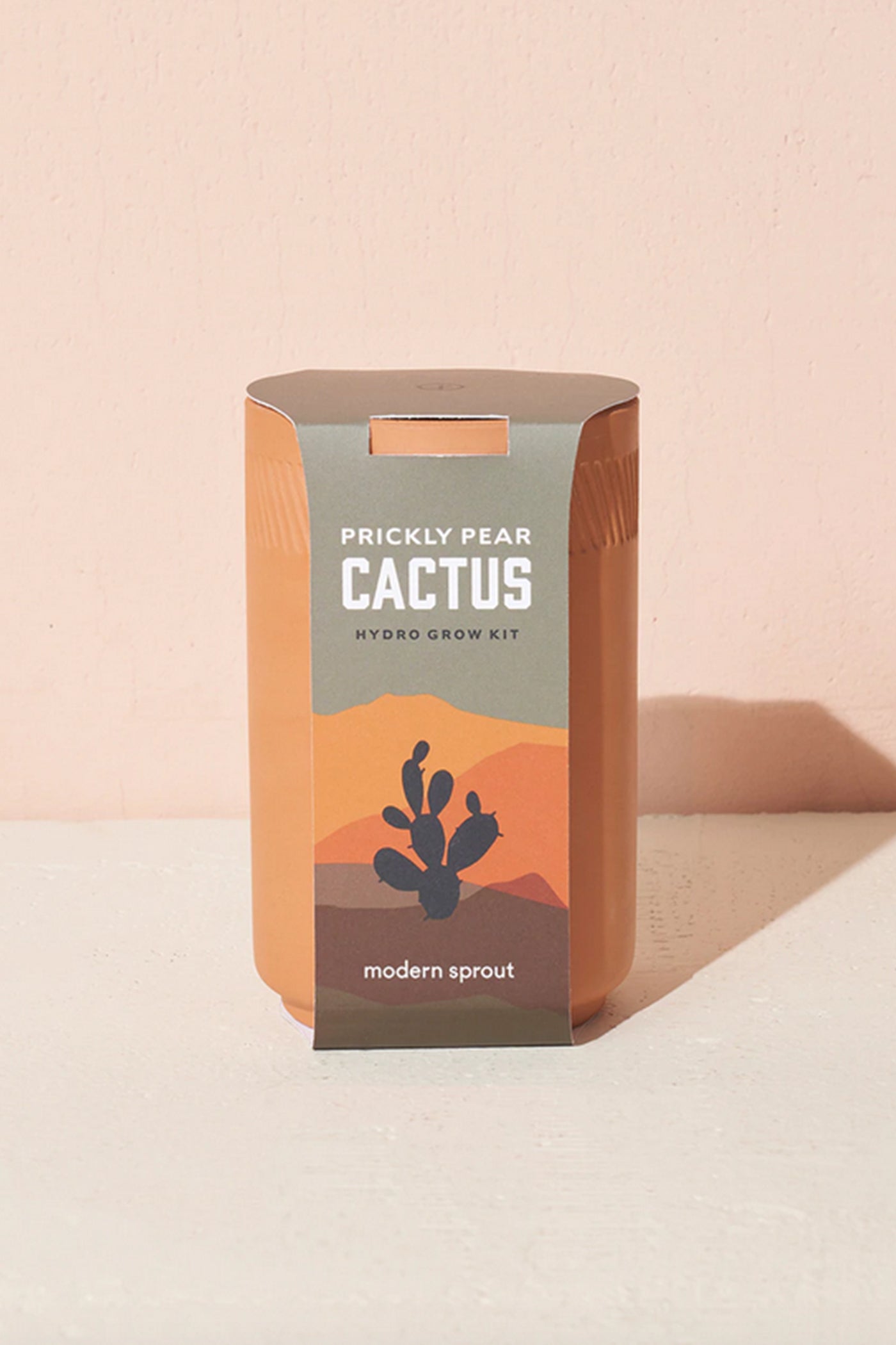 Prickly Pear Cactus Terrcaotta Kit by Modern Sprout