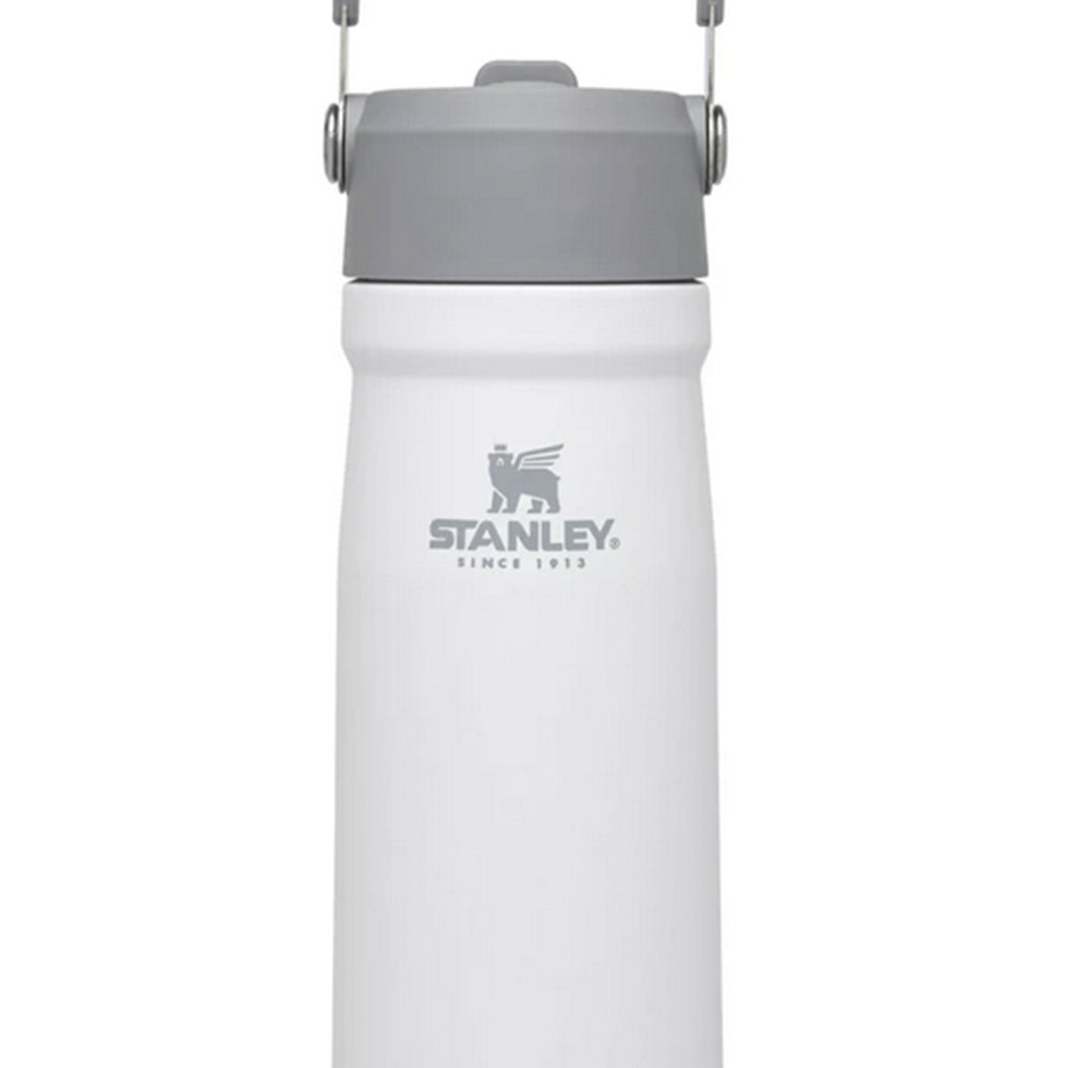 Stanley The IceFlow Flip Straw 22oz. Water Bottle Polar