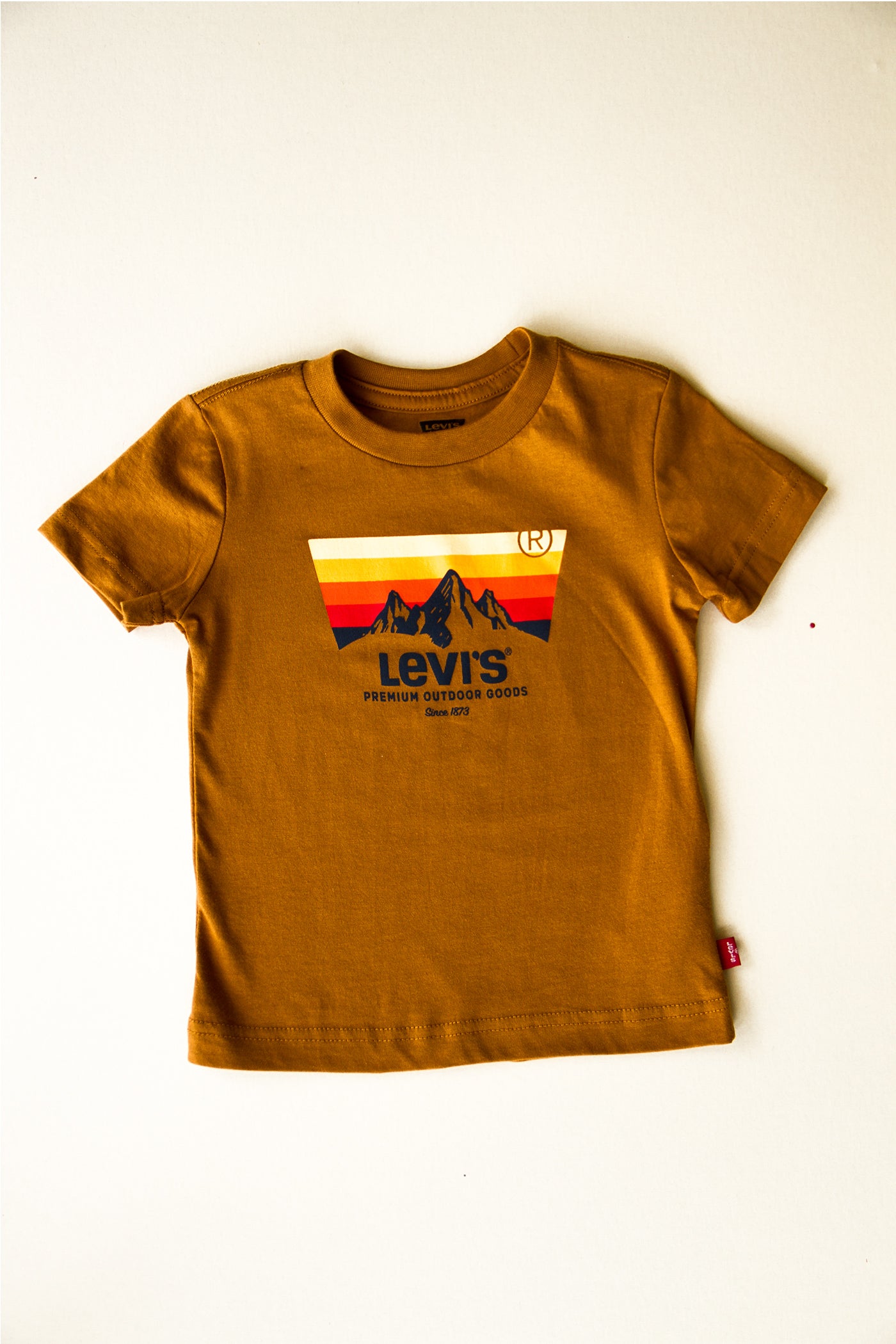 Levi's Outdoor Goods Graphic Kids Tee by Levi's